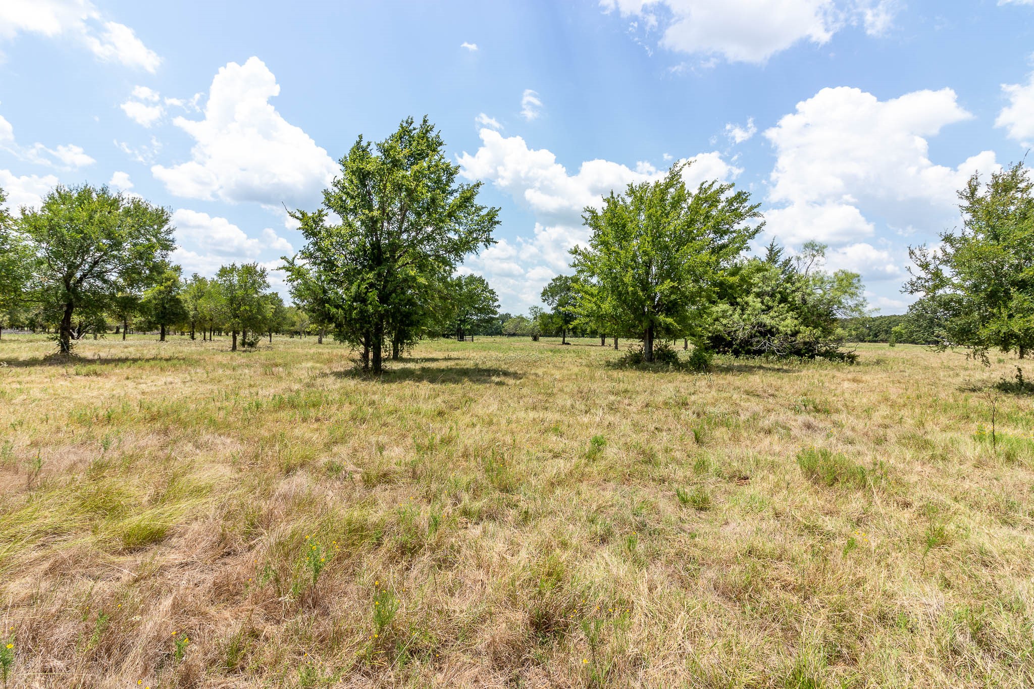 0 Cr-4076 Scurry TX 75158