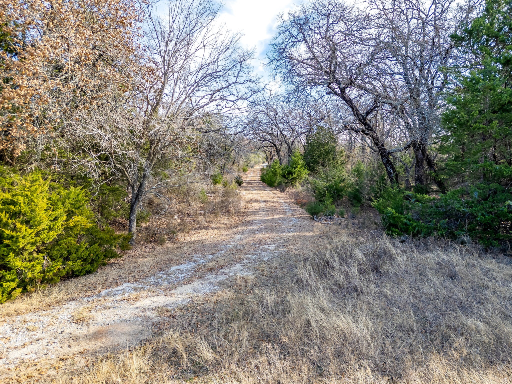 Tbd County Road 2475 Road Alvord TX 76225