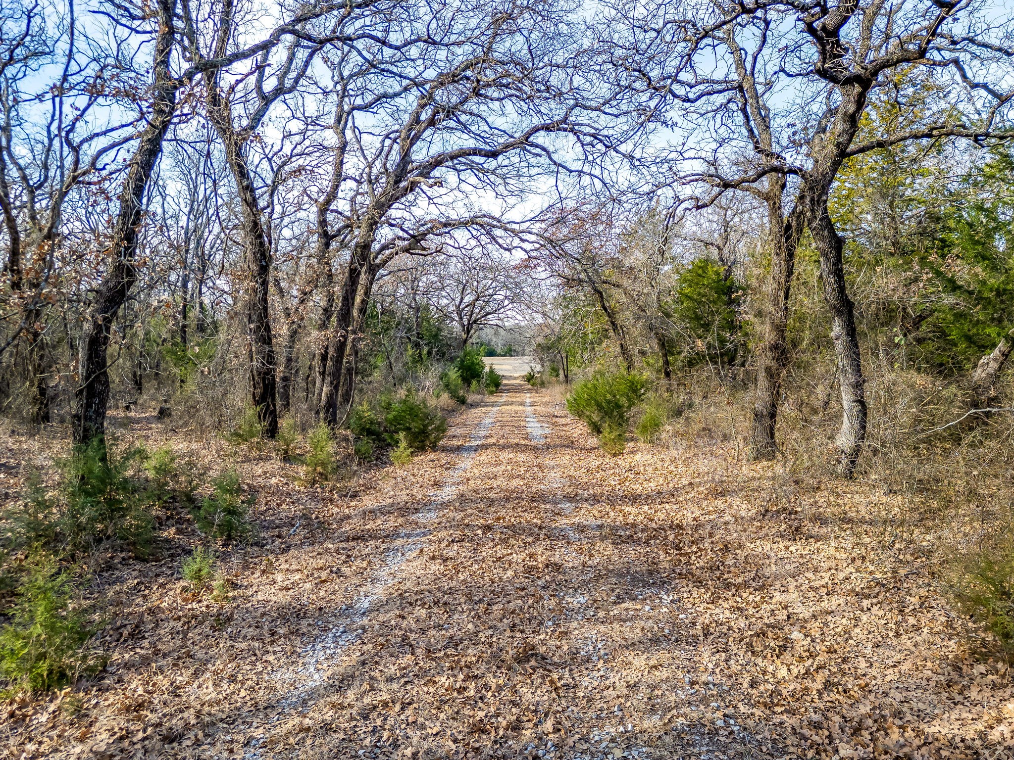 Tbd County Road 2475 Road Alvord TX 76225