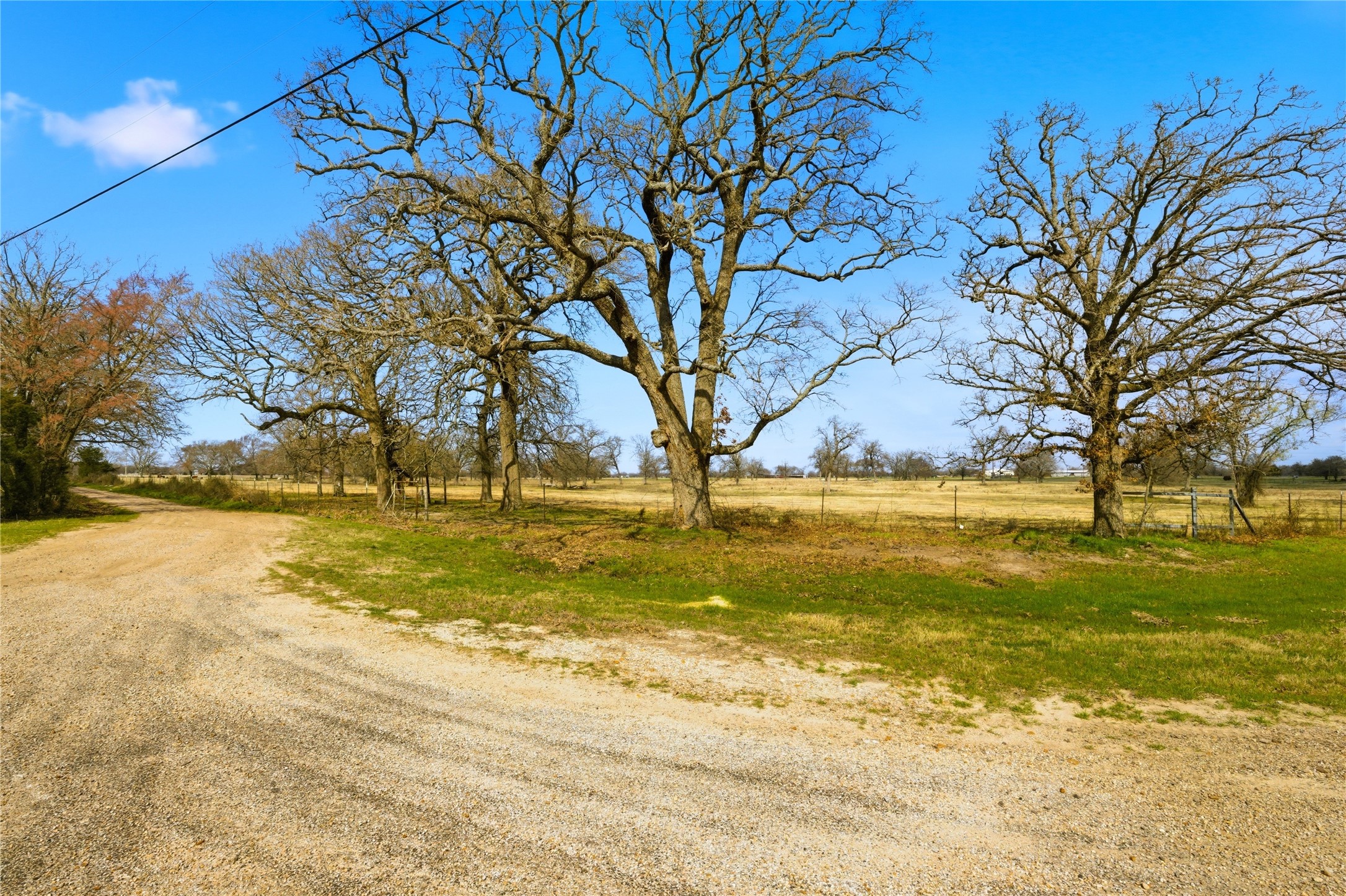 Tbd Fm 1531 Klondike TX 75448