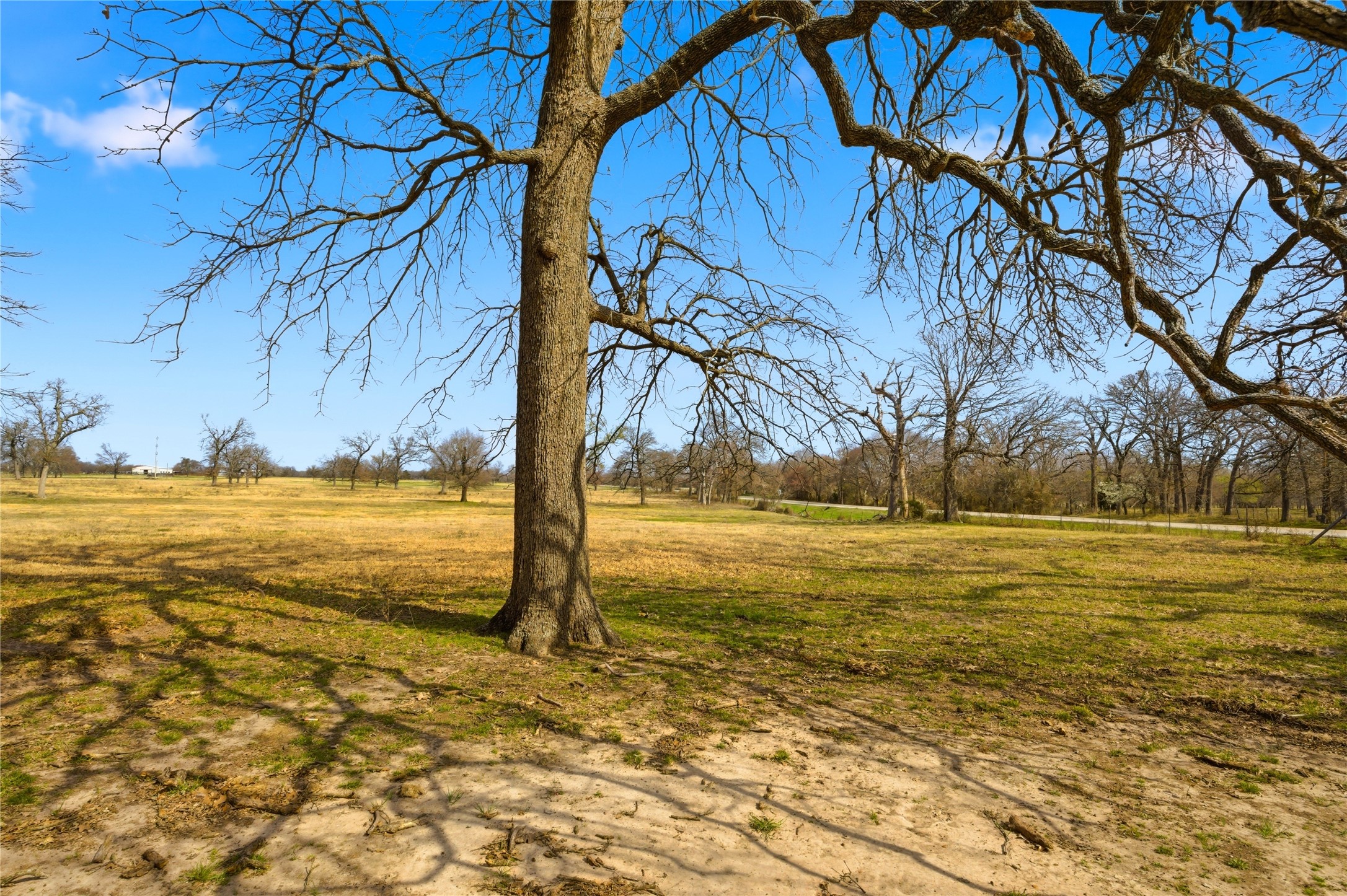 Tbd Fm 1531 Klondike TX 75448