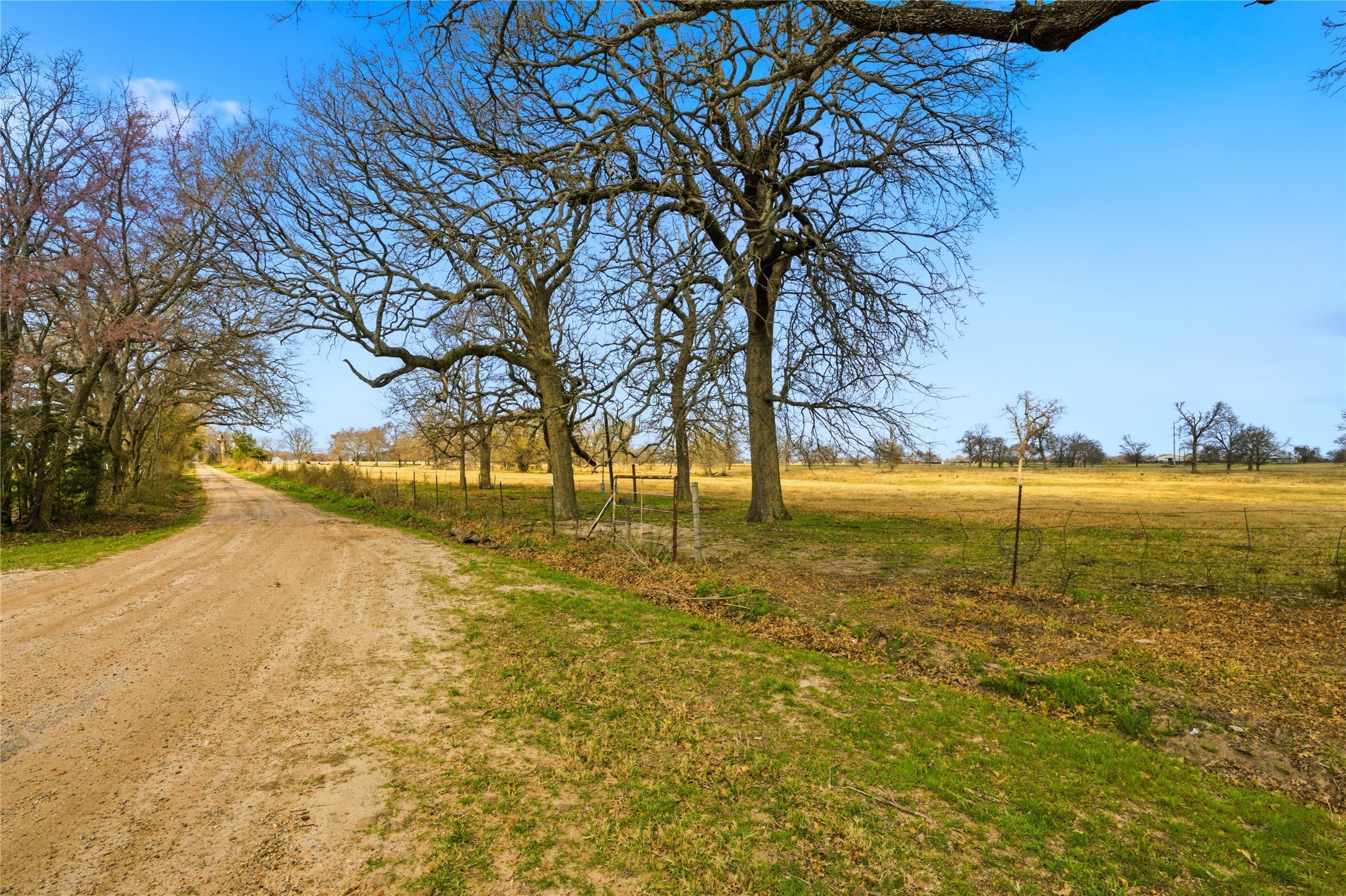 Tbd Fm 1531 Klondike TX 75448