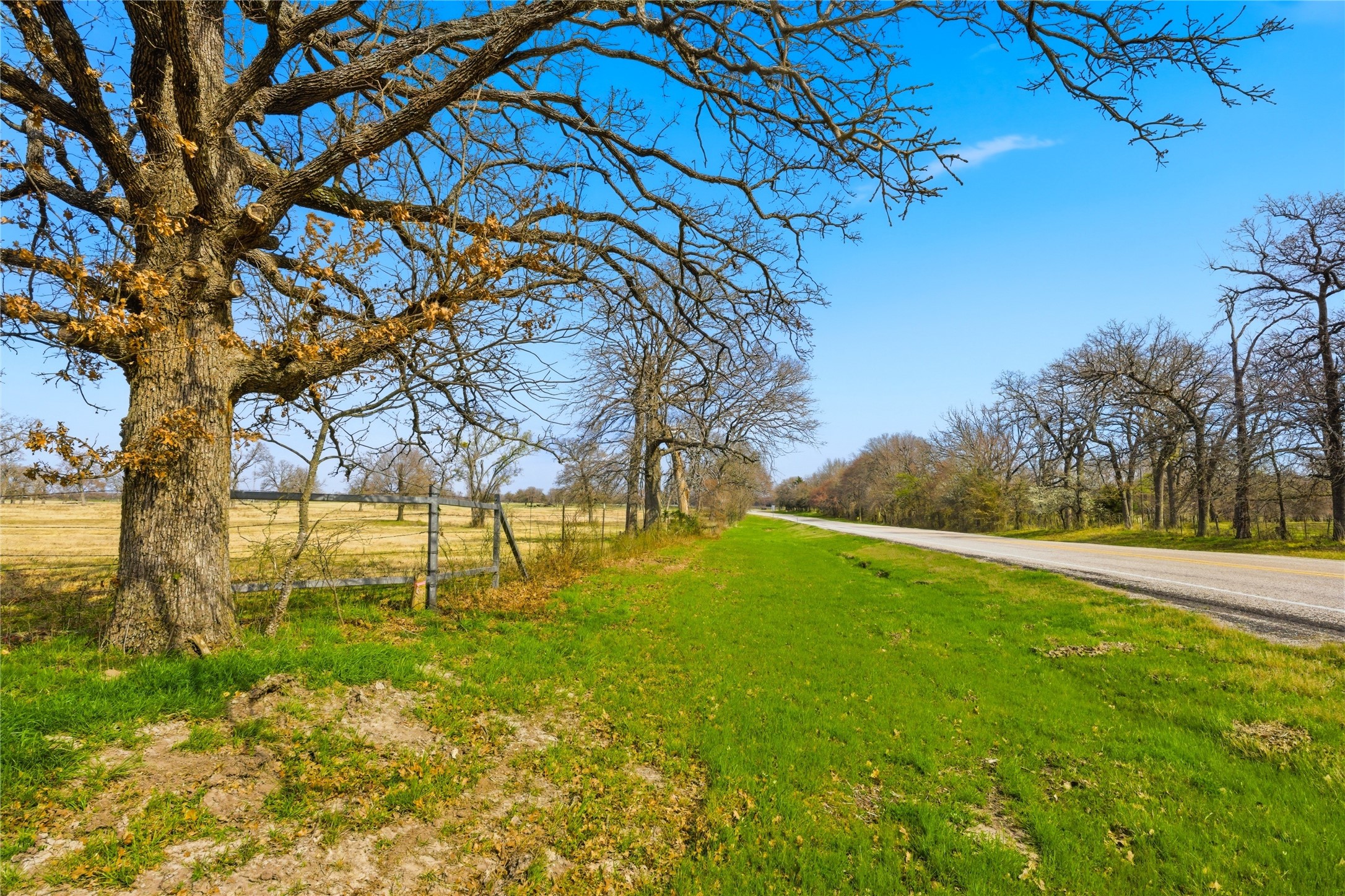 Tbd Fm 1531 Klondike TX 75448