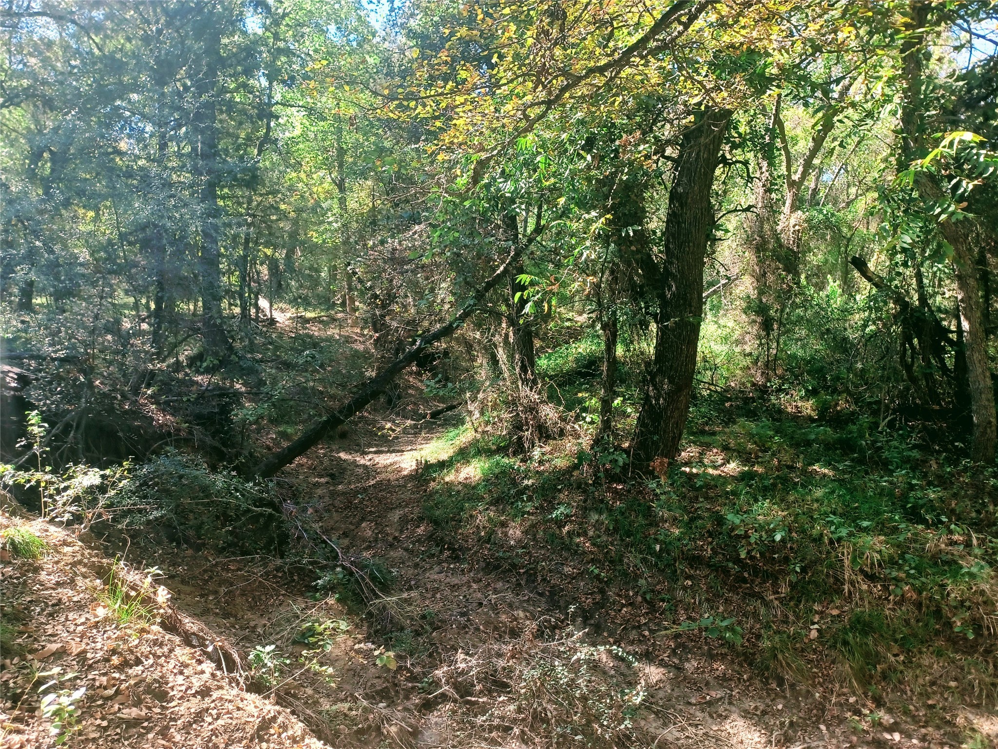 1379 Alto Road Seagoville TX 75159