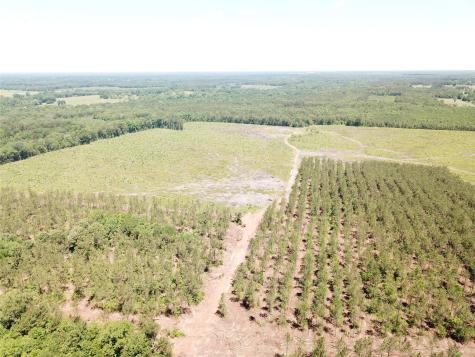 Off Cr 4290 Simms TX 75574