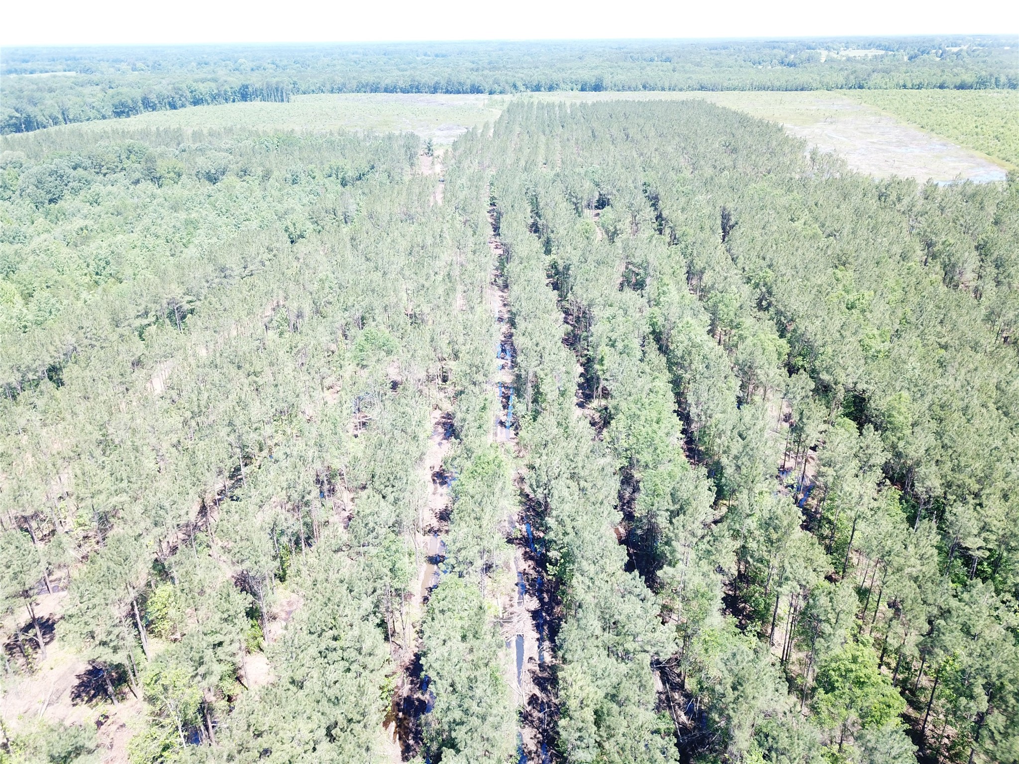 Off Cr 4290 Simms TX 75574