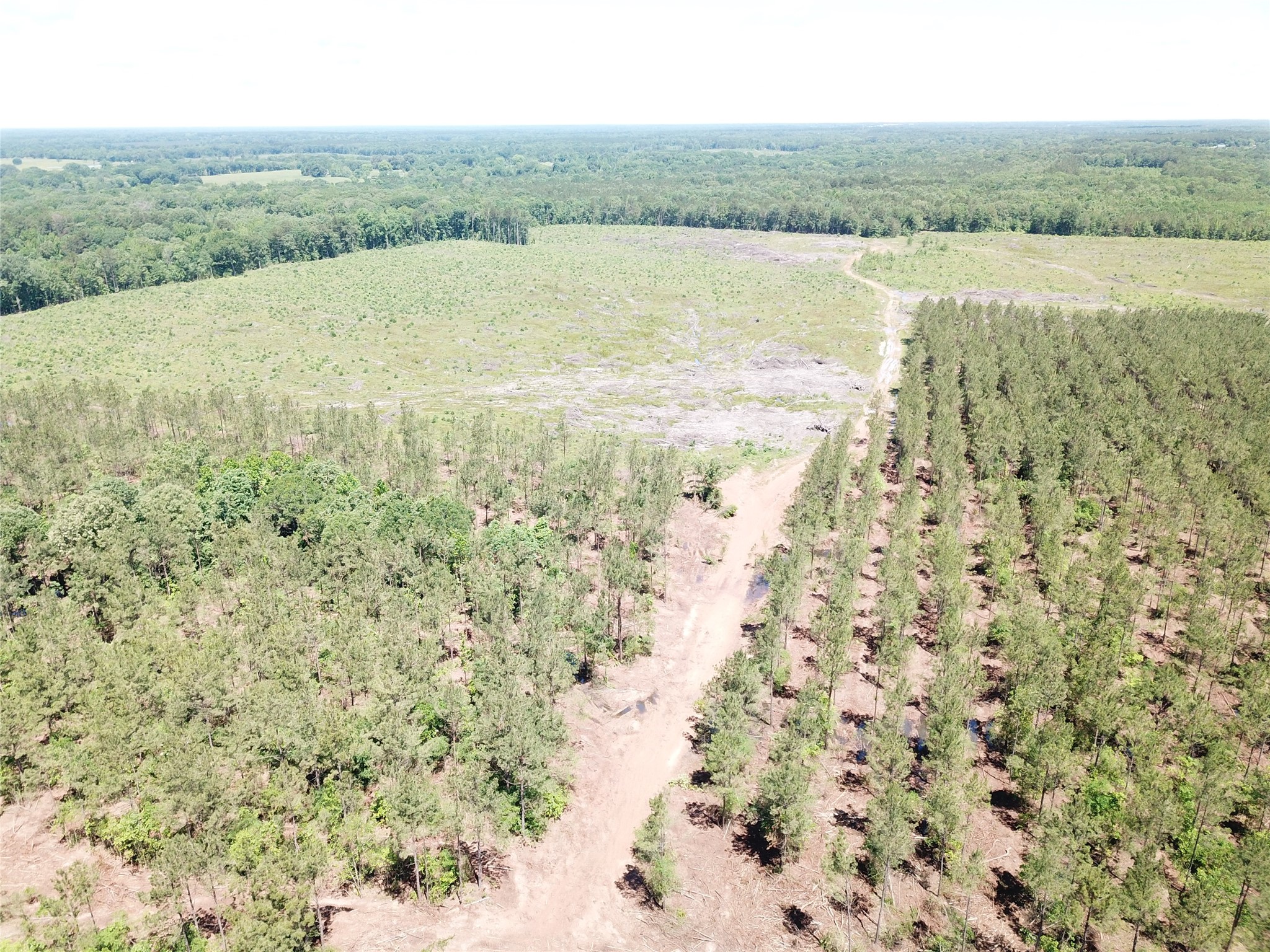 Off Cr 4290 Simms TX 75574