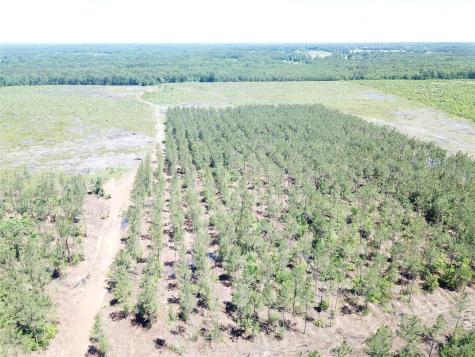 Off Cr 4290 Simms TX 75574