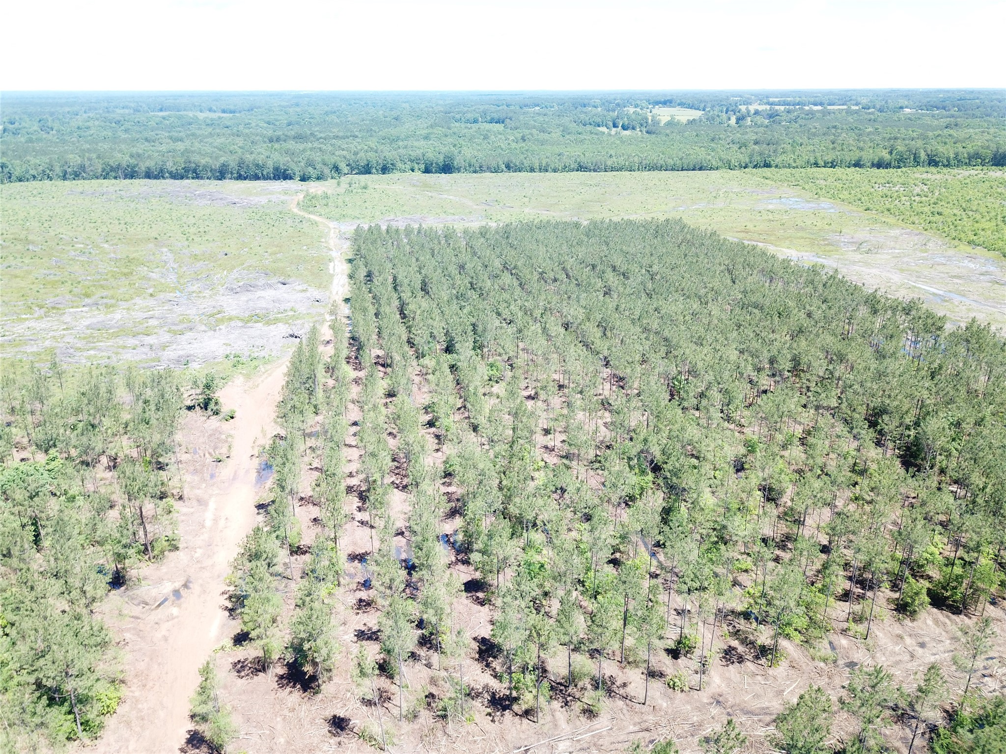 Off Cr 4290 Simms TX 75574