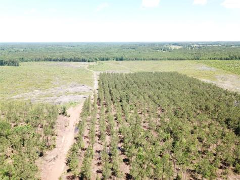 Off Cr 4290 Simms TX 75574