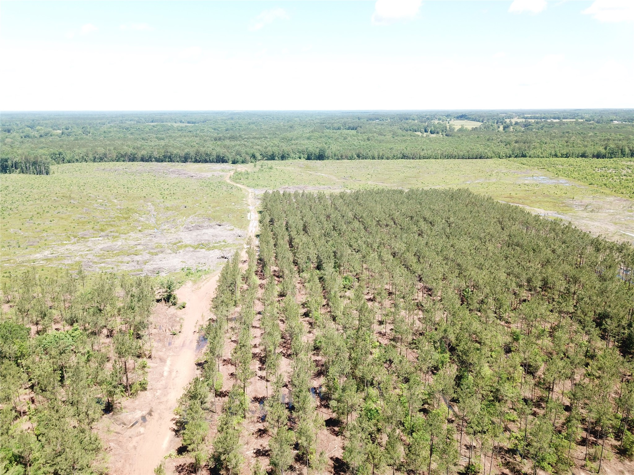 Off Cr 4290 Simms TX 75574