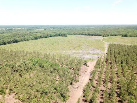 Off Cr 4290 Simms TX 75574