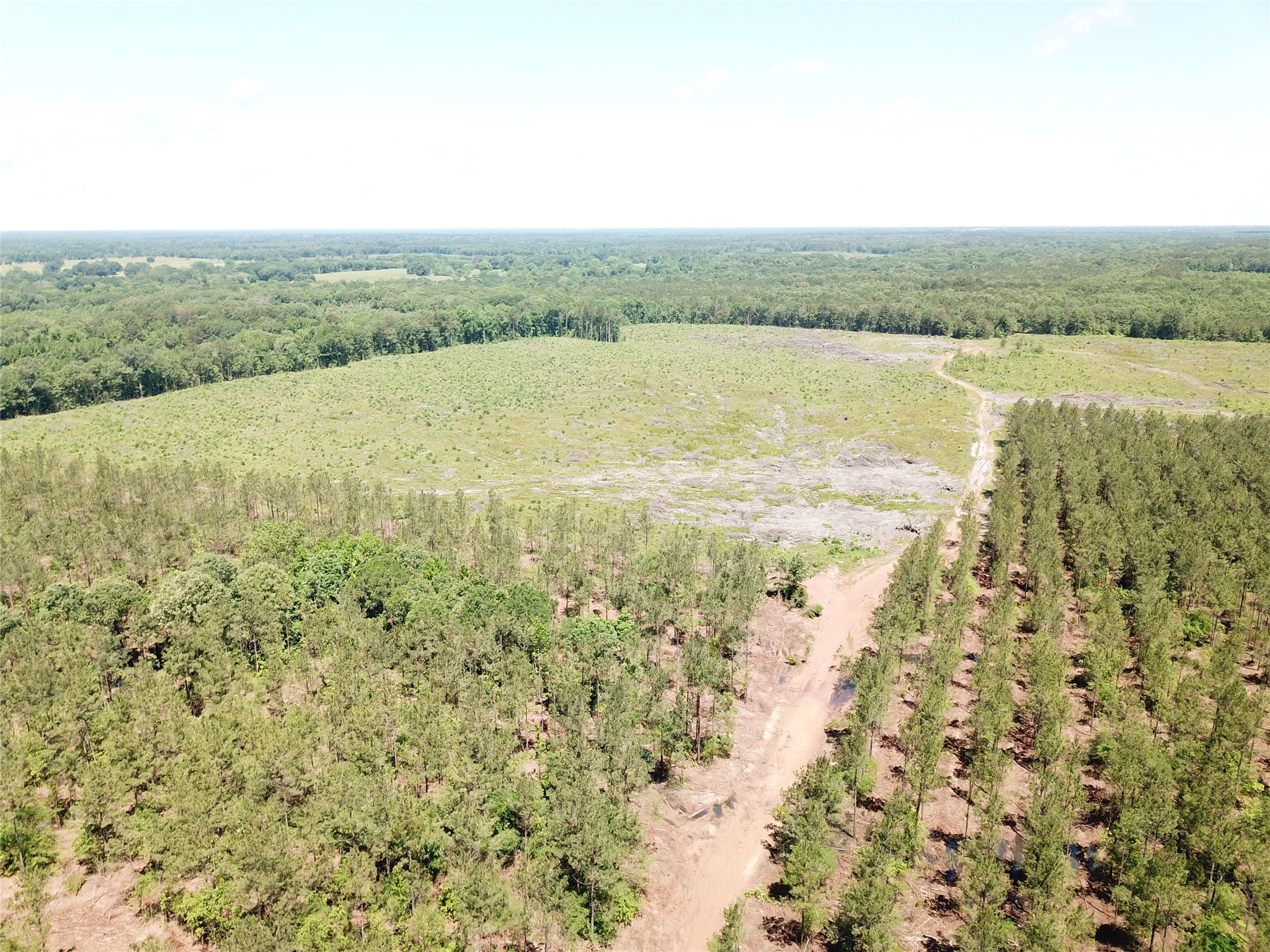 Off Cr 4290 Simms TX 75574