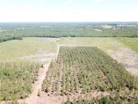 Off Cr 4290 Simms TX 75574