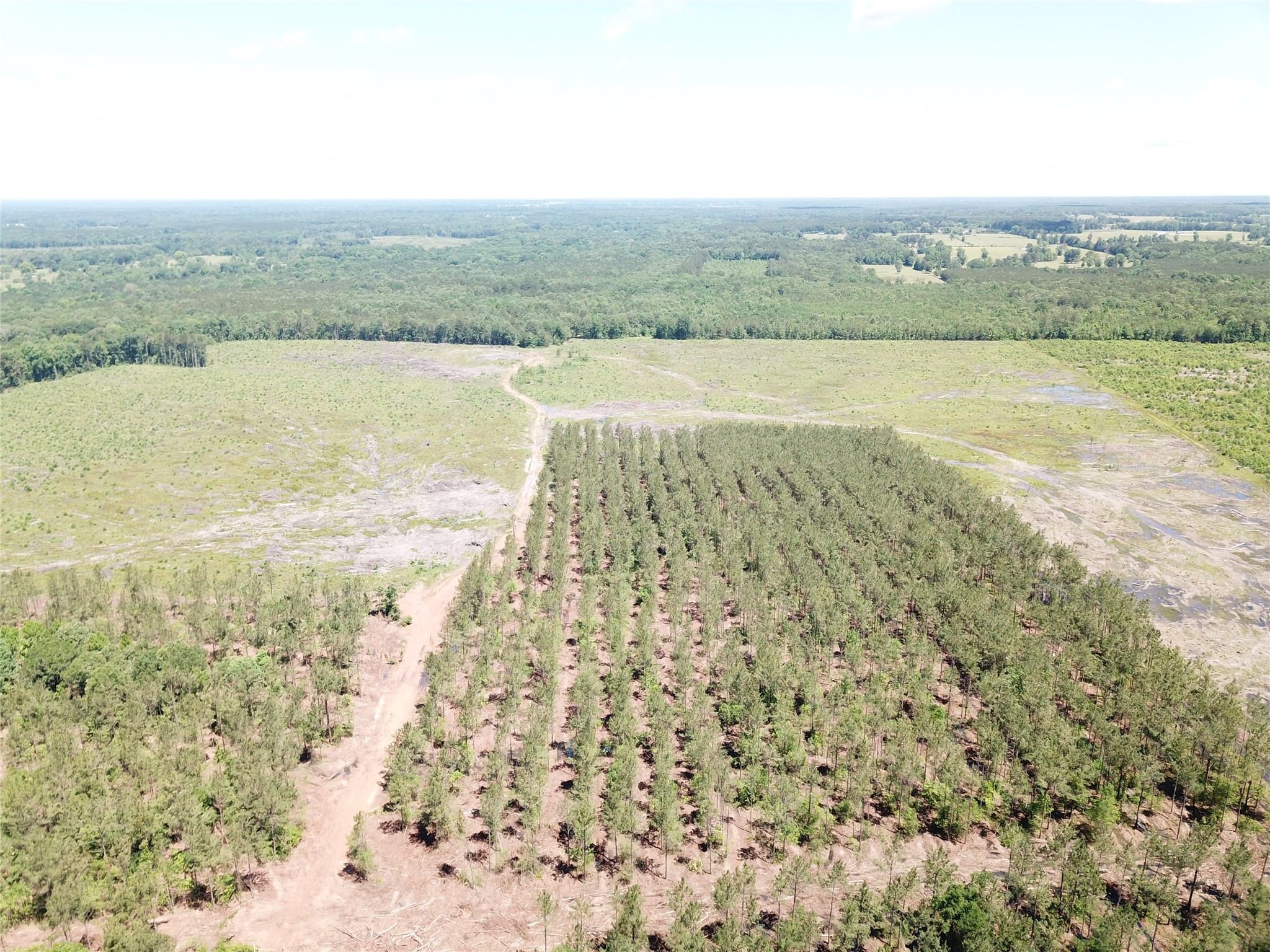 Off Cr 4290 Simms TX 75574
