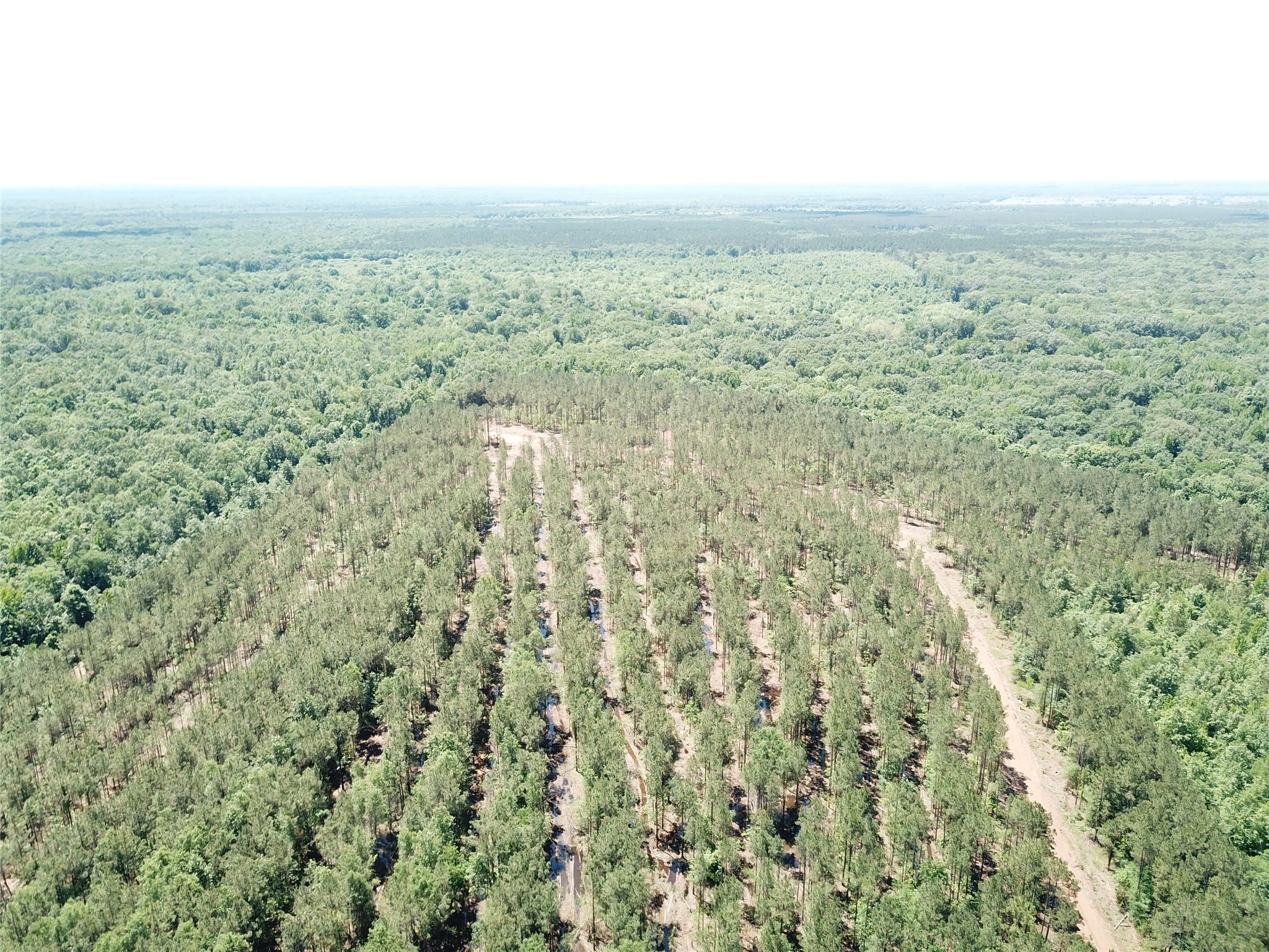 Off Cr 4290 Simms TX 75574