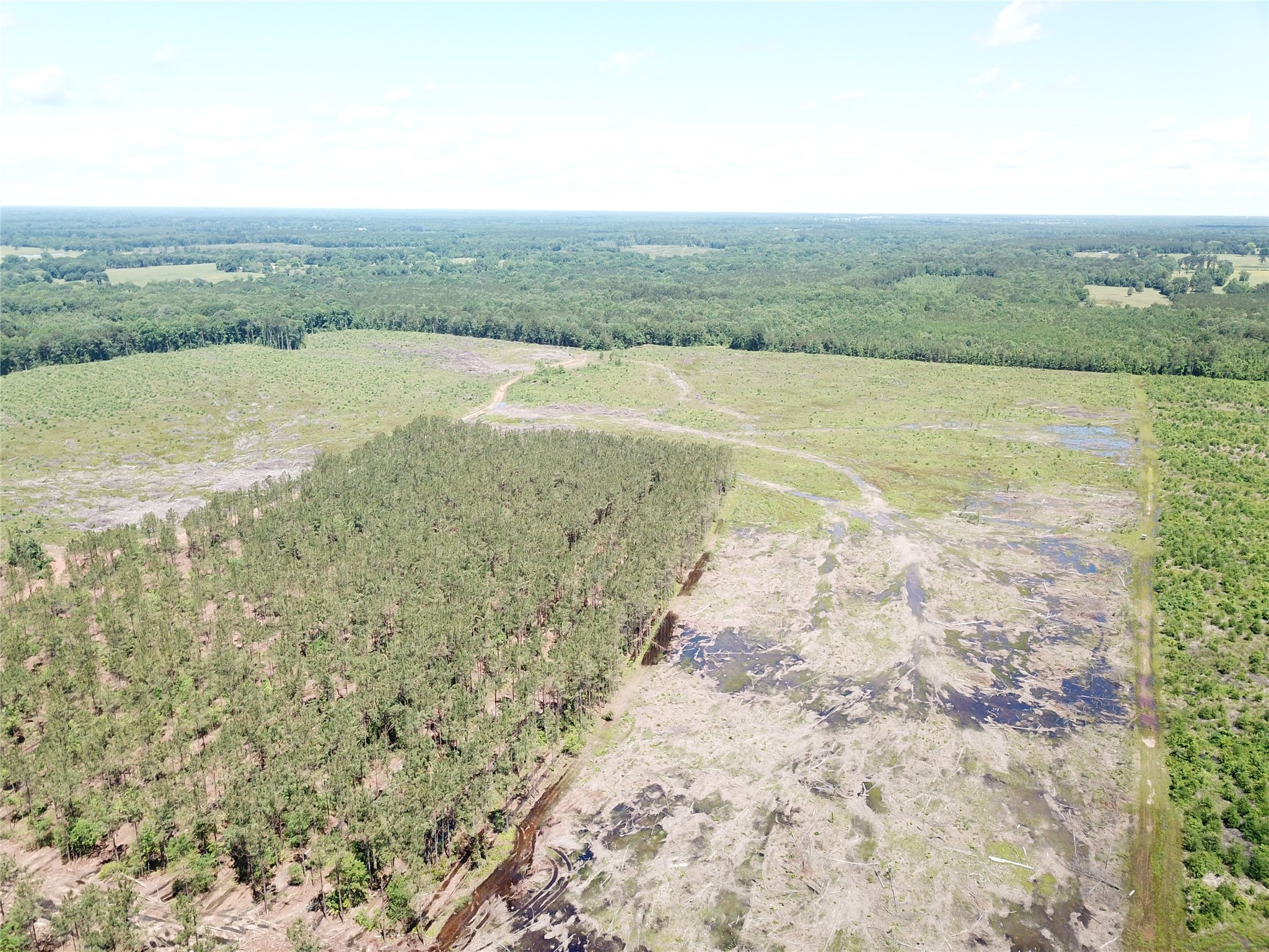 Off Cr 4290 Simms TX 75574