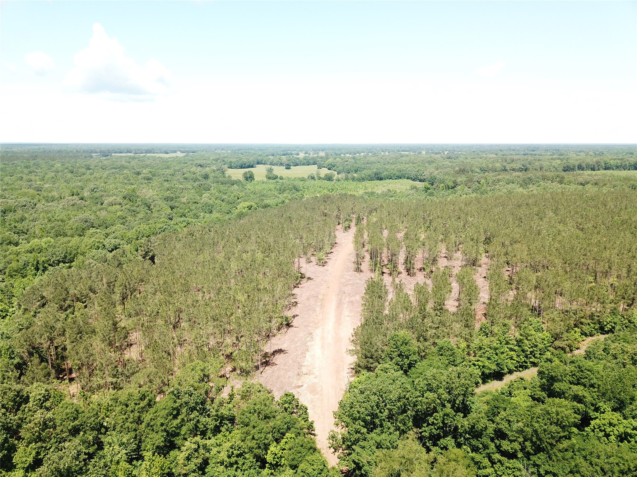 Off Cr 4290 Simms TX 75574