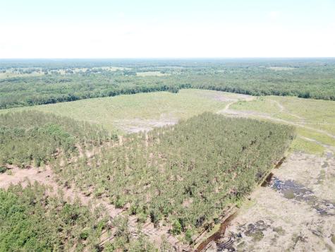 Off Cr 4290 Simms TX 75574