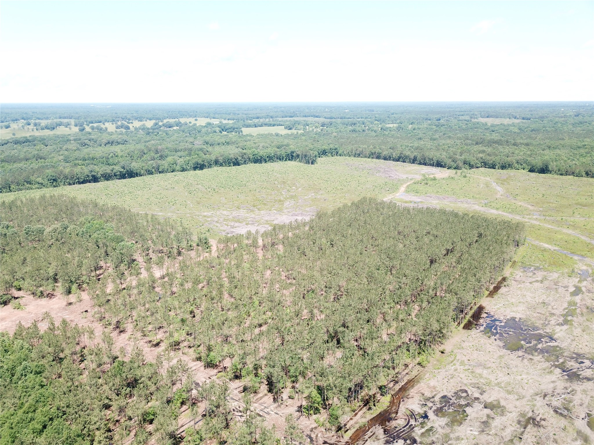 Off Cr 4290 Simms TX 75574