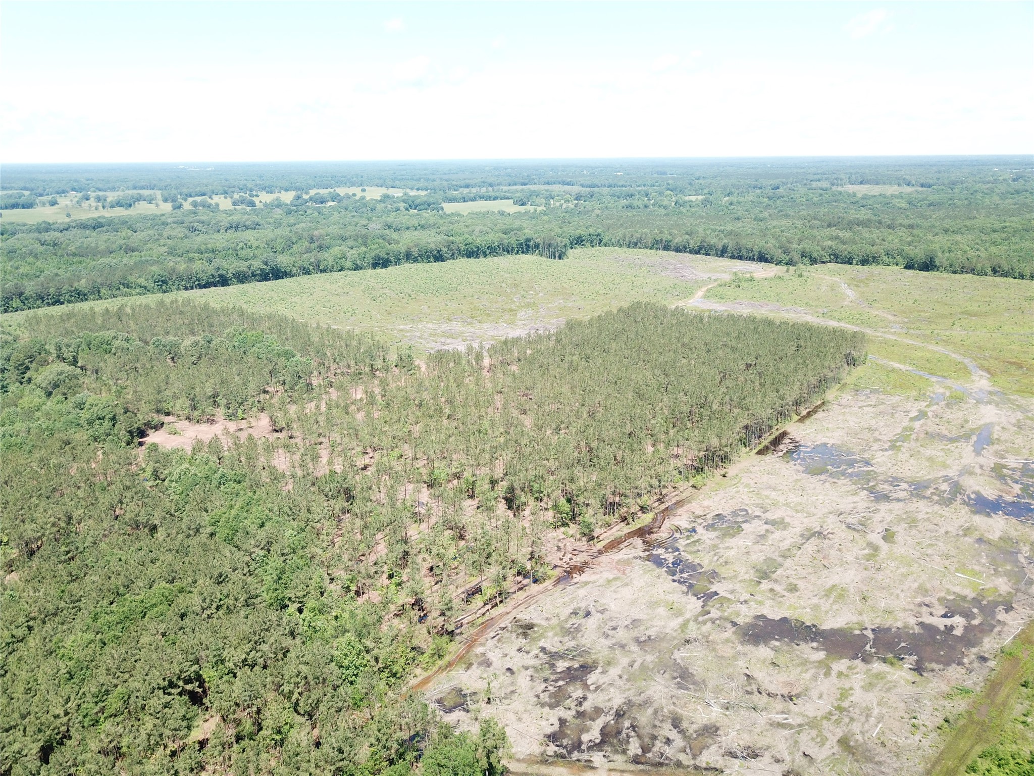 Off Cr 4290 Simms TX 75574
