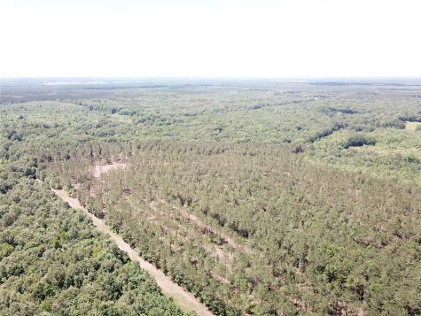 Off Cr 4290 Simms TX 75574