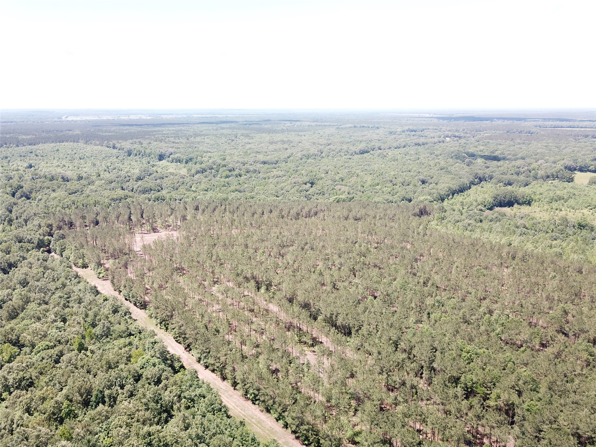 Off Cr 4290 Simms TX 75574