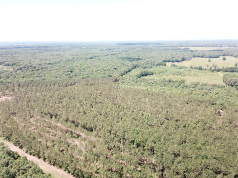 Off Cr 4290 Simms TX 75574