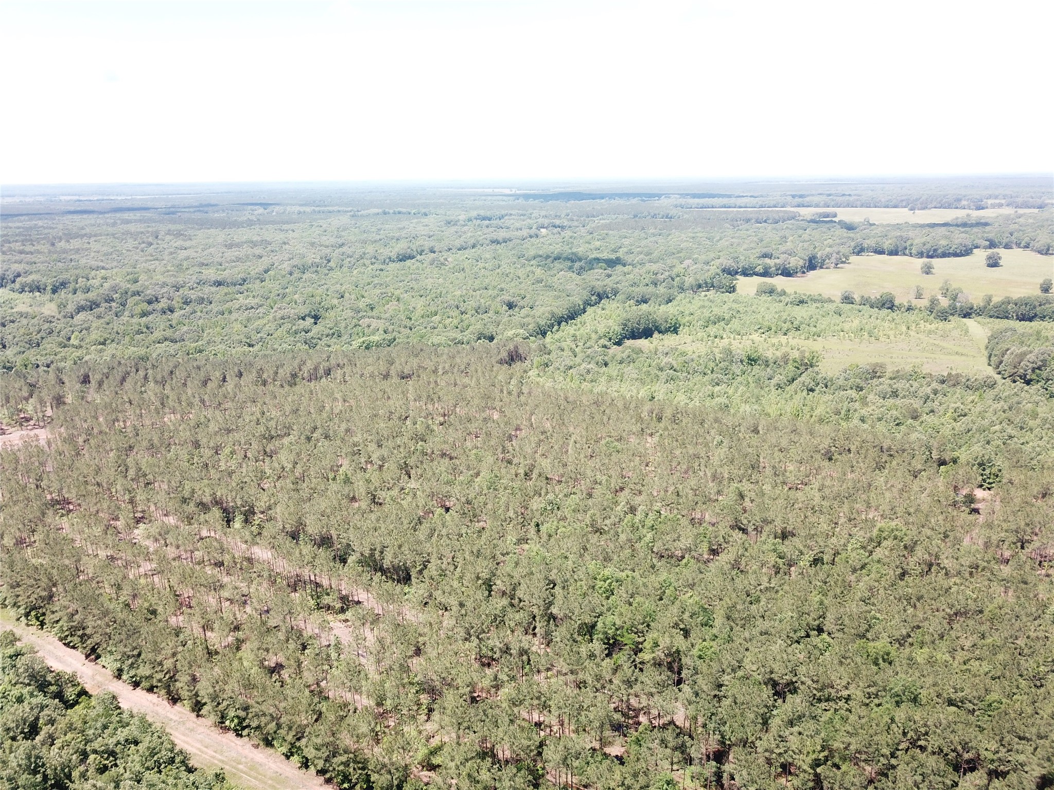Off Cr 4290 Simms TX 75574