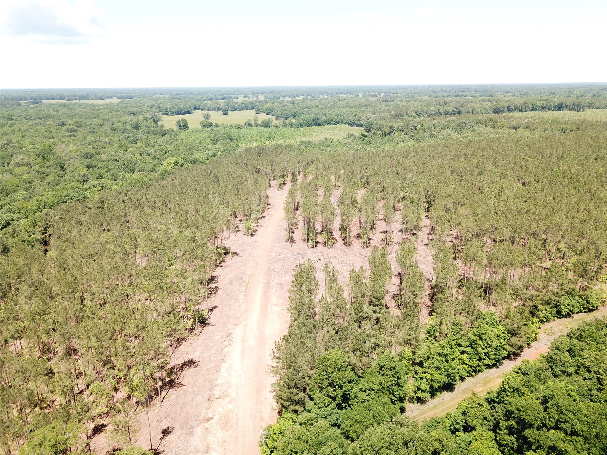 Off Cr 4290 Simms TX 75574