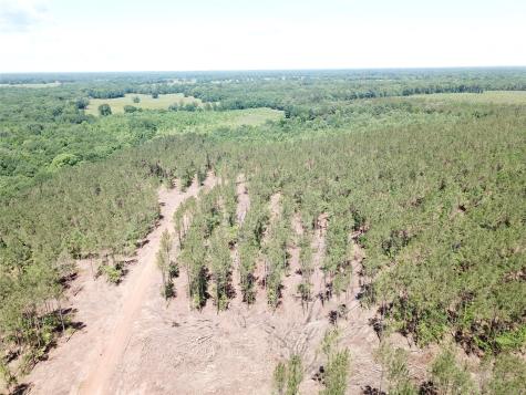 Off Cr 4290 Simms TX 75574