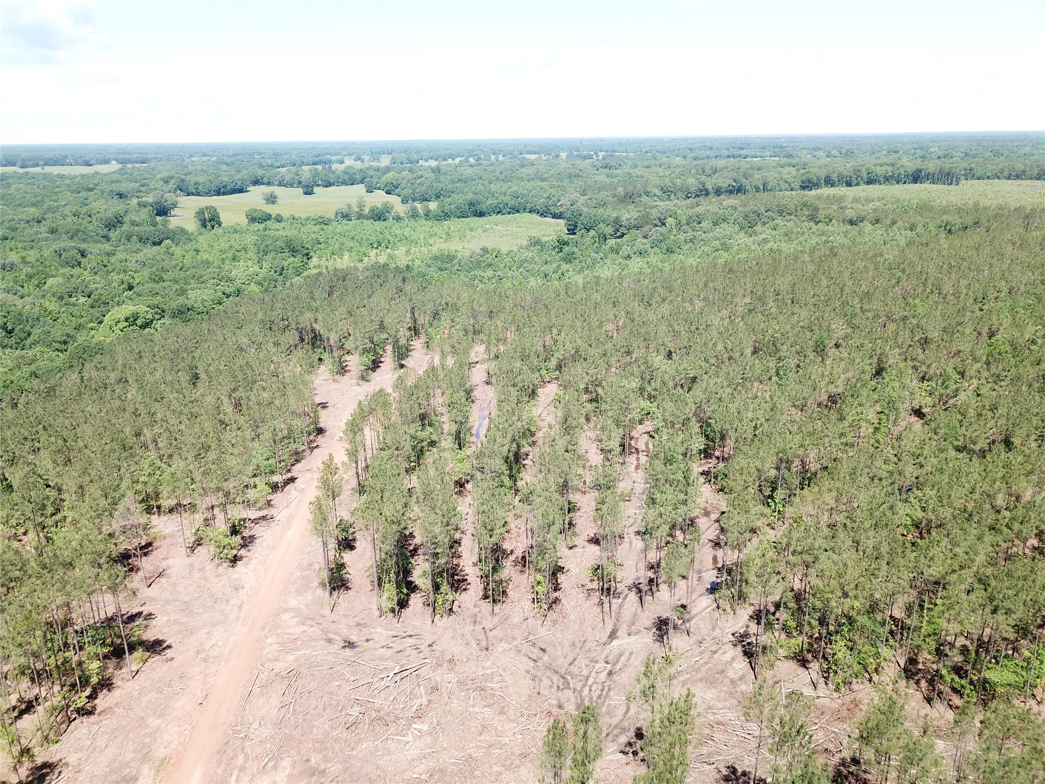 Off Cr 4290 Simms TX 75574