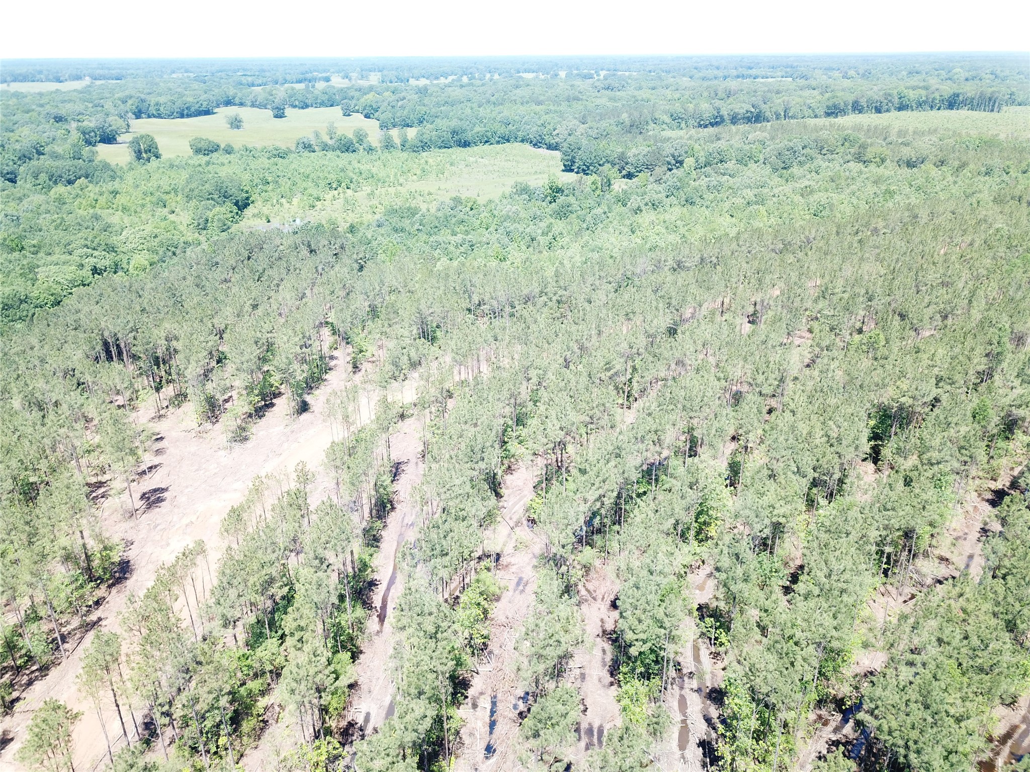 Off Cr 4290 Simms TX 75574