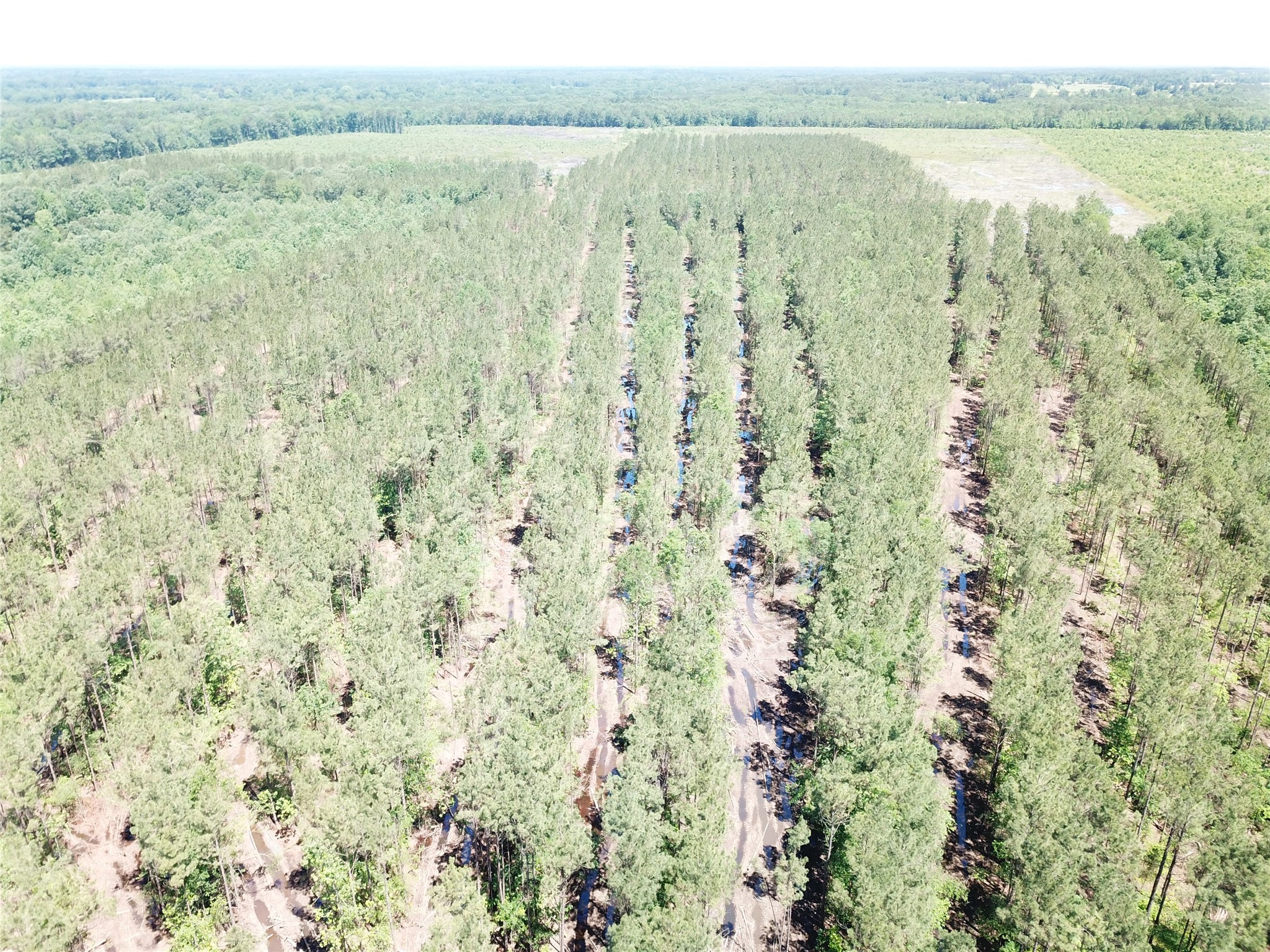Off Cr 4290 Simms TX 75574
