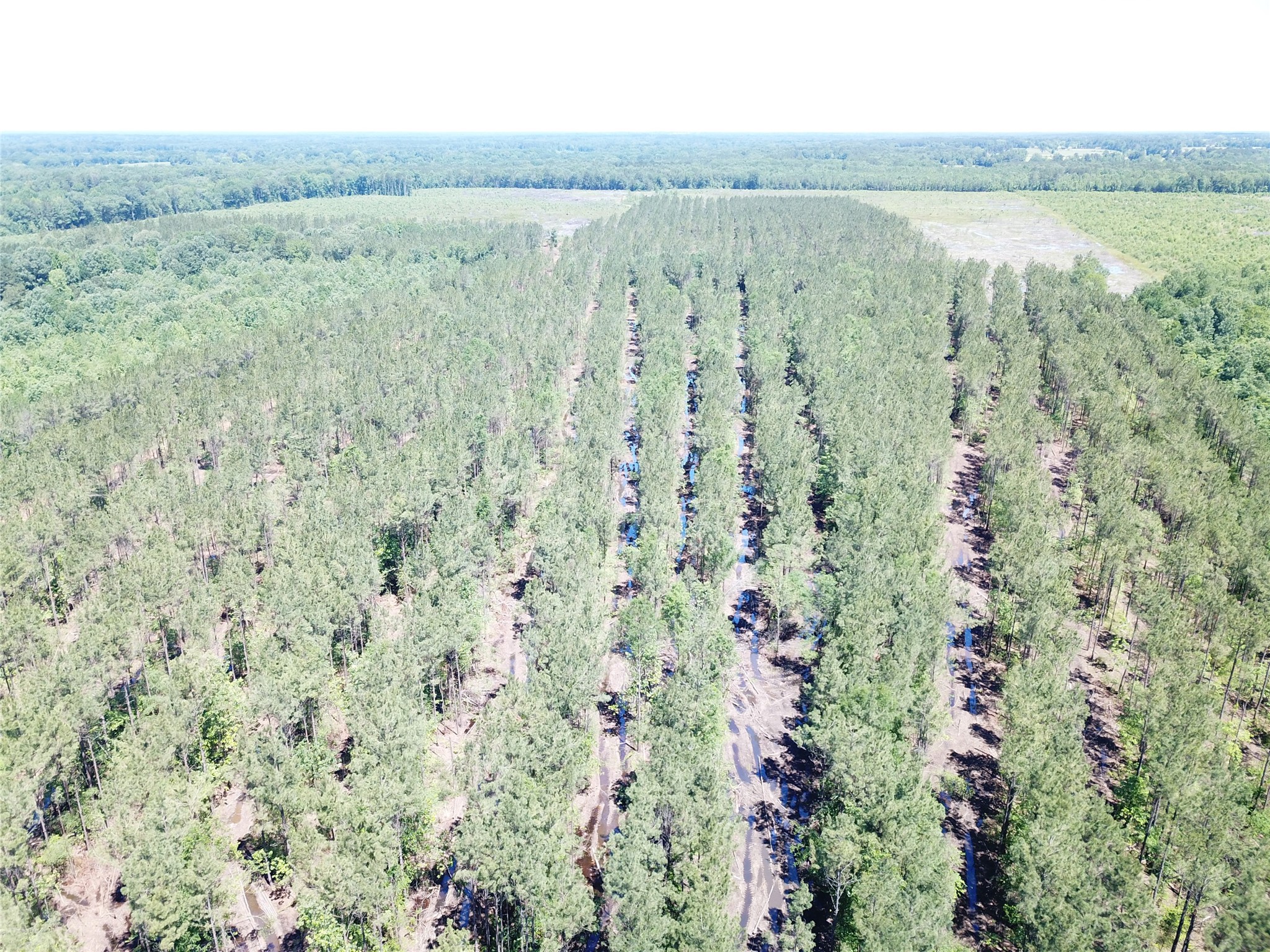 Off Cr 4290 Simms TX 75574