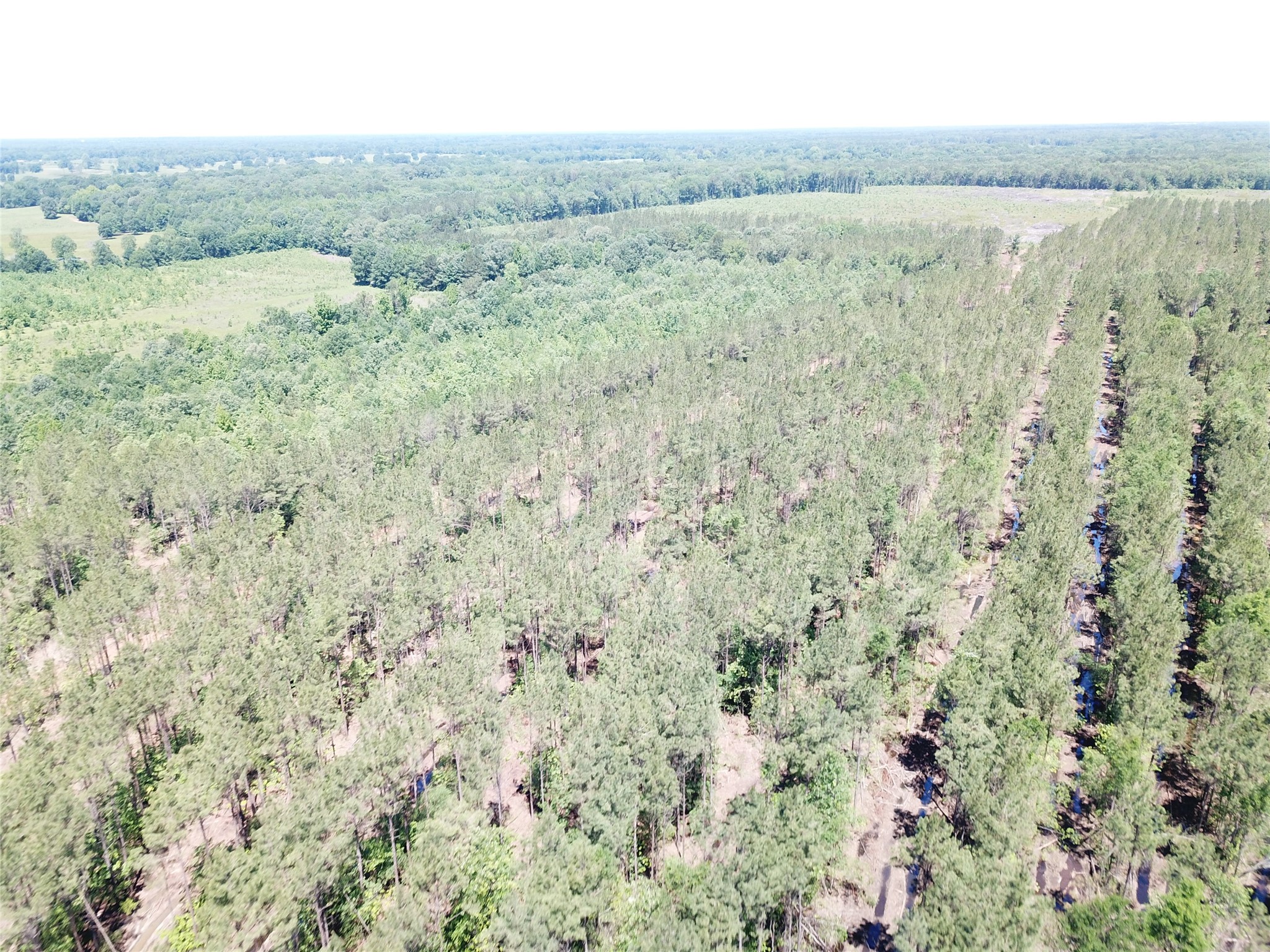 Off Cr 4290 Simms TX 75574