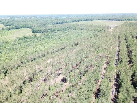 Off Cr 4290 Simms TX 75574
