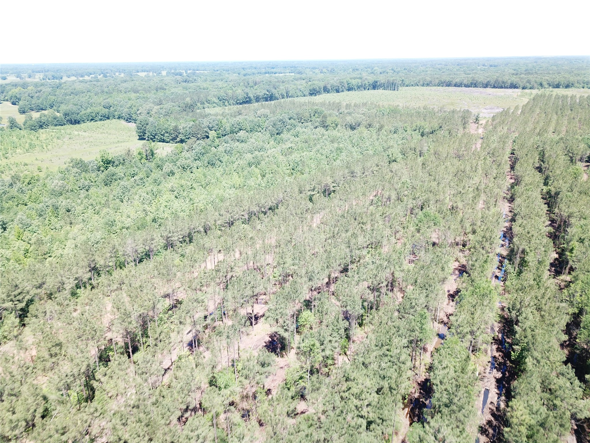 Off Cr 4290 Simms TX 75574