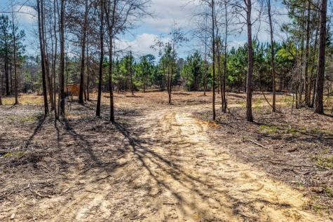 1462 Mole Road Winnsboro TX 75494