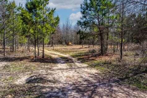 1462 Mole Road Winnsboro TX 75494