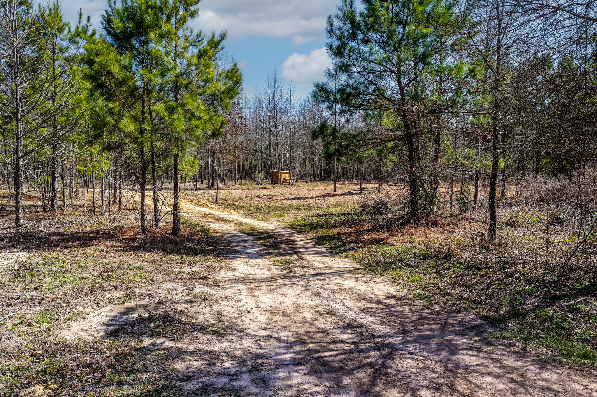 1462 Mole Road Winnsboro TX 75494