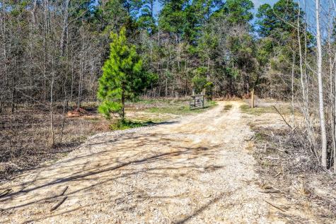 1462 Mole Road Winnsboro TX 75494