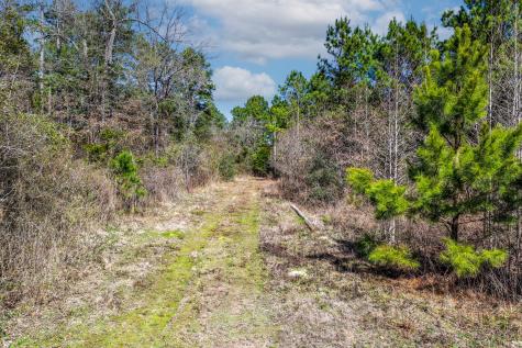 1462 Mole Road Winnsboro TX 75494