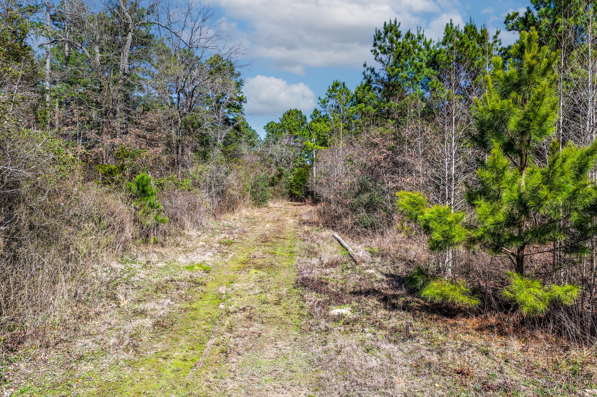 1462 Mole Road Winnsboro TX 75494