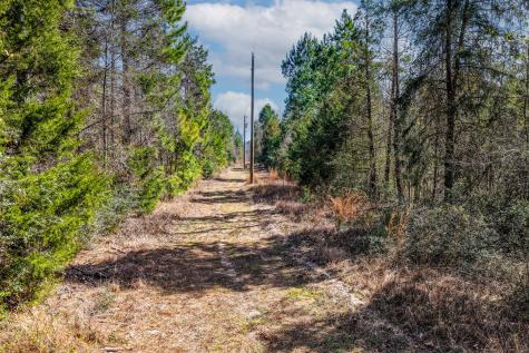 1462 Mole Road Winnsboro TX 75494