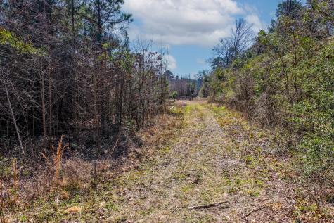 1462 Mole Road Winnsboro TX 75494