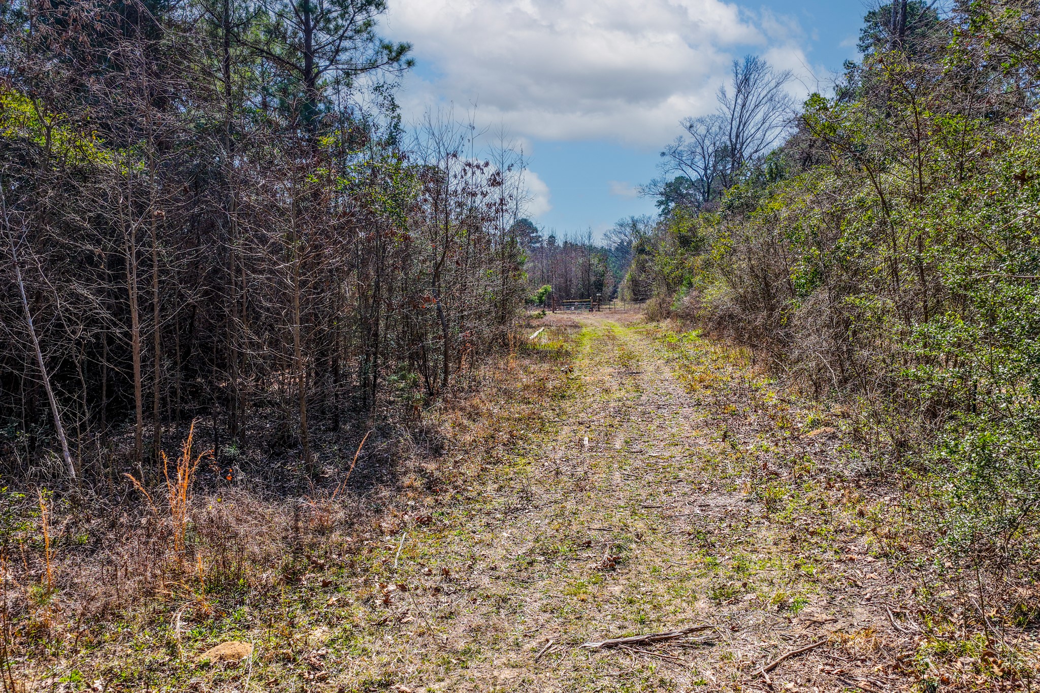 1462 Mole Road Winnsboro TX 75494
