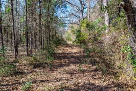 1462 Mole Road Winnsboro TX 75494