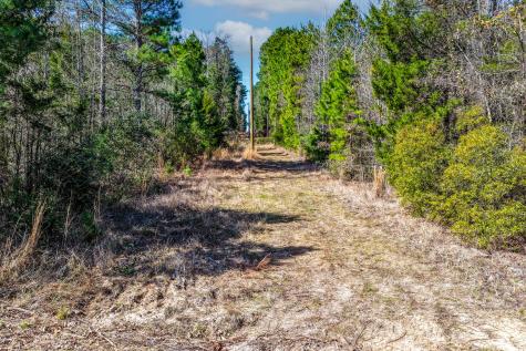 1462 Mole Road Winnsboro TX 75494
