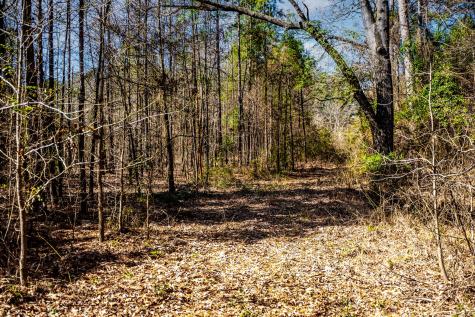 1462 Mole Road Winnsboro TX 75494